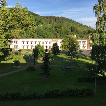 Apartman Stare Casy Svoboda nad Úpou Exterior foto